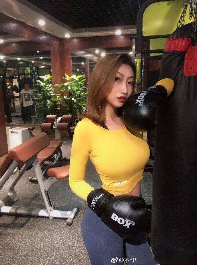 正义的伙伴游戏下载